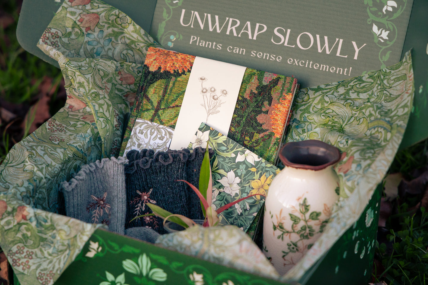 Pre-Order Rare Plant Box