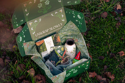 Pre-Order Rare Plant Box