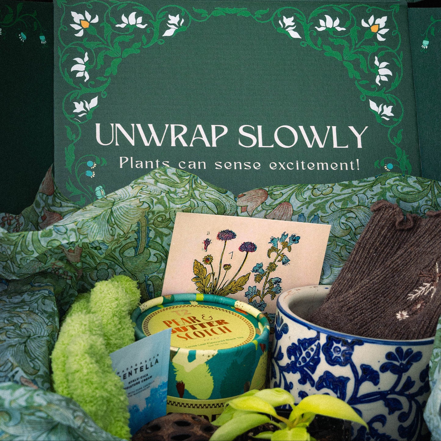 Pre-Order Rare Plant Box