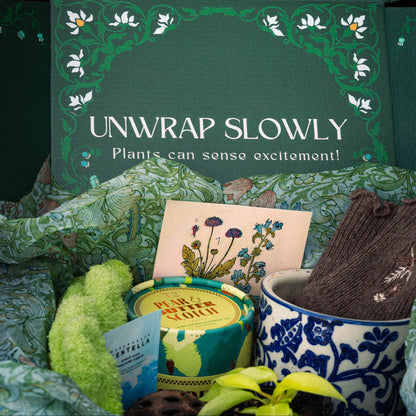 Pre-Order Rare Plant Box