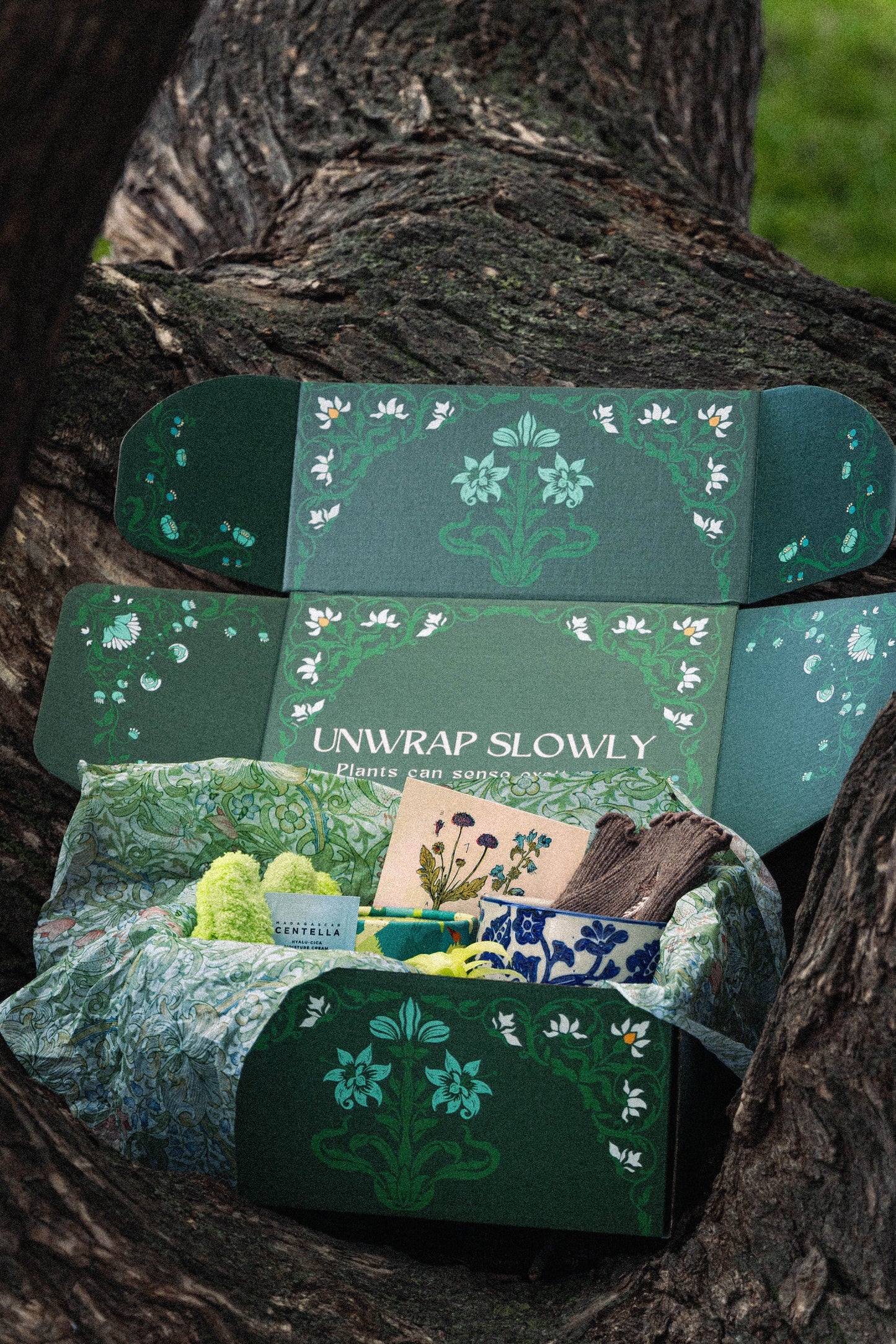 Pre-Order Rare Plant Box